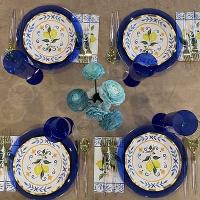 Blue and capri disposable plate package