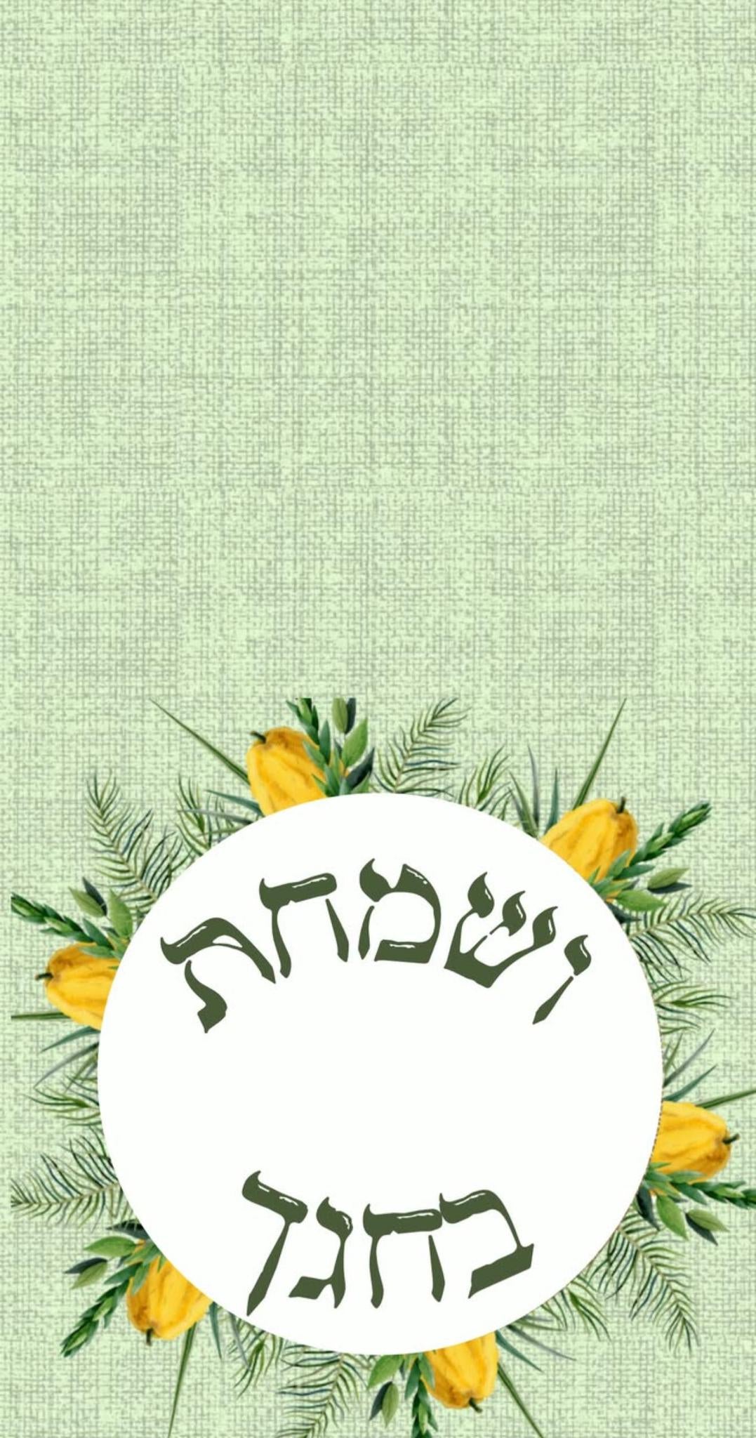 Lulav Esrog Ring Linen Like Guest Towel (16 Count)