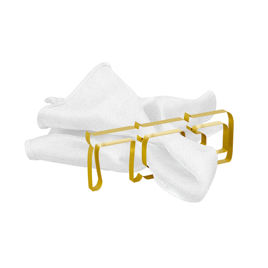 Lucite Pesach Napkin Rings Collection