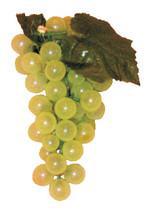 7" Medium Grape Cluster Decoration (1 Count)