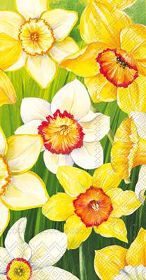 Daffodils Field Guest Towel (16 Count) - Set With Style