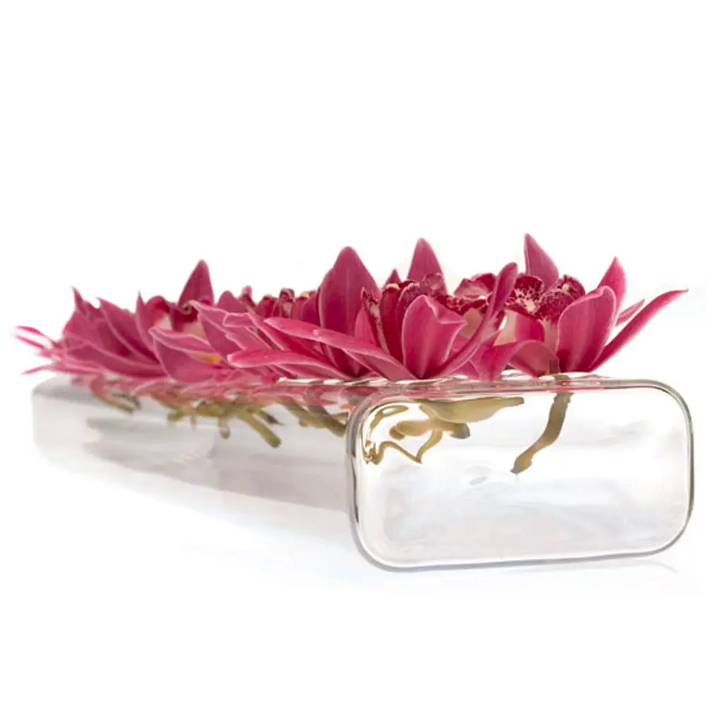 Hudson Flute Clear Glass Bud Vase 8 Holes (1 Count) - Set With Style