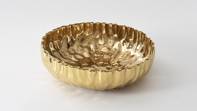Pampa Bay Mascali D’oro Extra Large Shallow Bowl (1 Count)