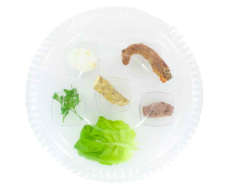 Deli Lid For Clear Seder Plate (1 Count) - Set With Style