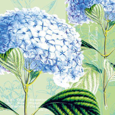 Hydrangea Lunch Napkin (20ct) - Set With Style