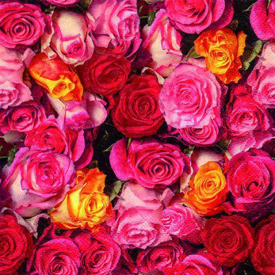 Rosas Coloridas Napkins (20ct) - Set With Style