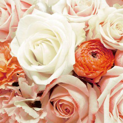 Anabel Napkin (20ct) - Set With Style