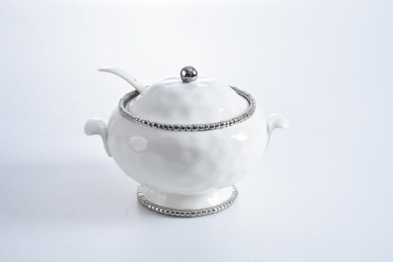Silver & White Soup Tureen W ladel - Set With Style